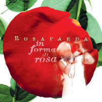 cd cover